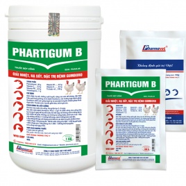 PHARTIGUM B