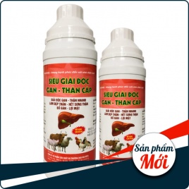 SIÊU GIẢI ĐỘC GAN THẬN CẤP