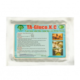 TA – GLUCO.K.C