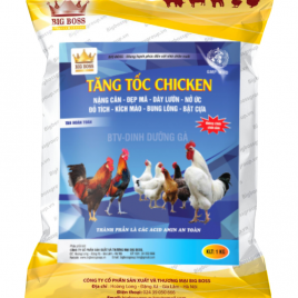 Tăng tốc Chicken Big Boss