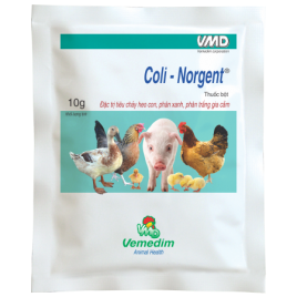 VMD COLI NORGENT