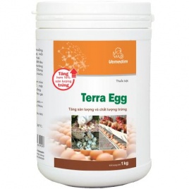 VMD TERRA EGG