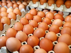 Giá trứng gia cầm tăng mạnh khi các tỉnh trở lại trạng thái bình thường mới