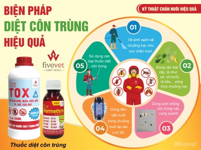 BÍ QUYẾT DIỆT CÔN TRÙNG TRONG CHĂN NUÔI BÀ CON NHẤT ĐỊNH PHẢI BIẾT