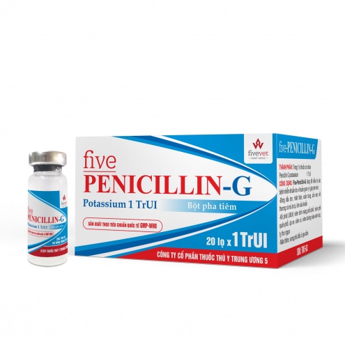 Five-Penicilin G