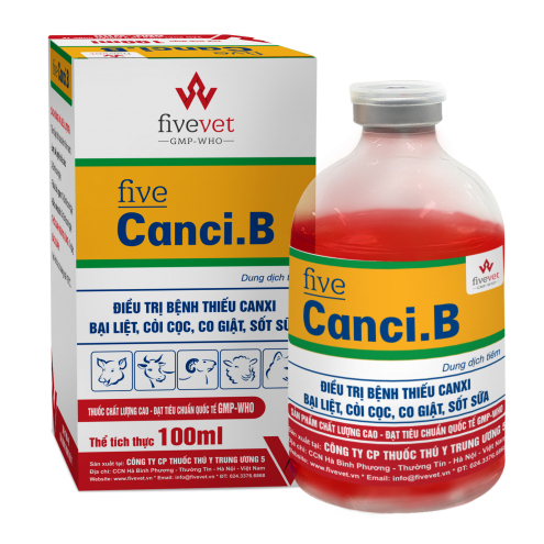 Five-Canci.B