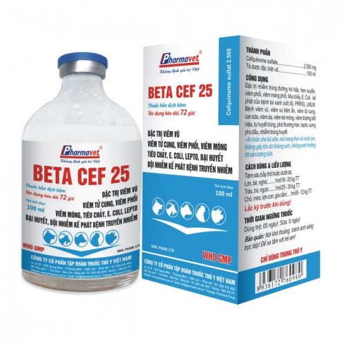 BETA CEF 25