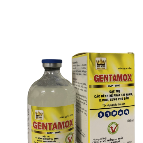 GENTAMOX – Đặc trị các bệnh kế phát tai xanh, e.coli, sưng phù đầu.