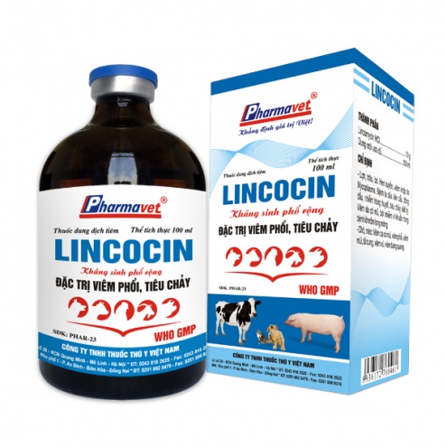 LINCOCIN 10%