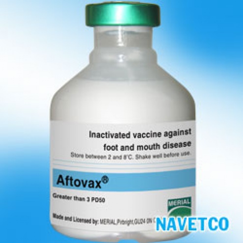 Lở mồm long móng - AFTOVAX