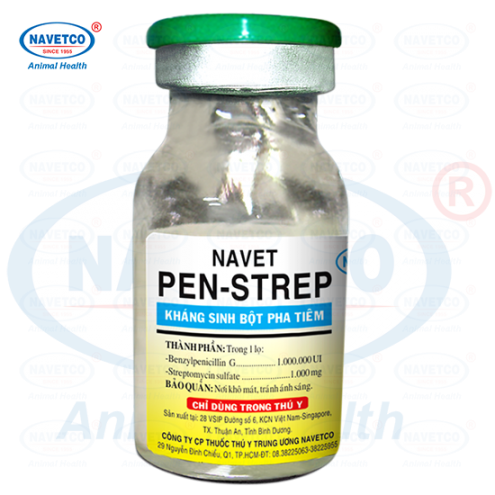 NAVET-PEN-STREP( BỘT PHA TIÊM )