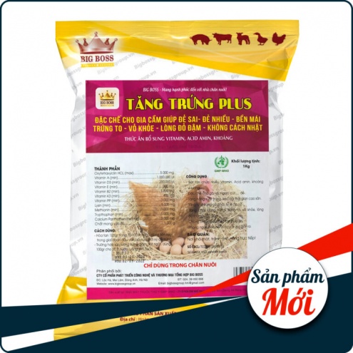 TĂNG TRỨNG PLUS – Tăng trứng số 1 thị trường