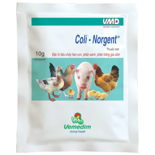 VMD COLI NORGENT